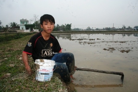 Em Phạm Thế Hoàng một buổi đến lớp một buổi đi đào lươn kiếm tiền mua gạo cho mẹ và ba chị em ăn.
