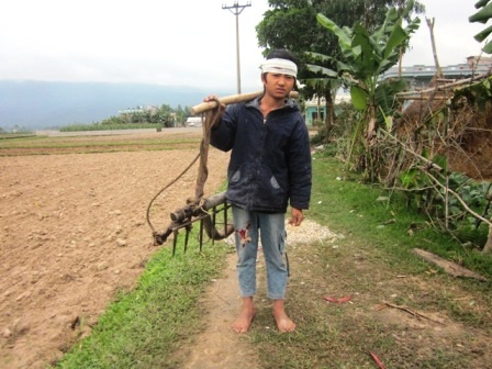 Xót thương 3 anh em mồ côi cả cha lẫn mẹ - 3 Đang tuổi ăn học nhưng em