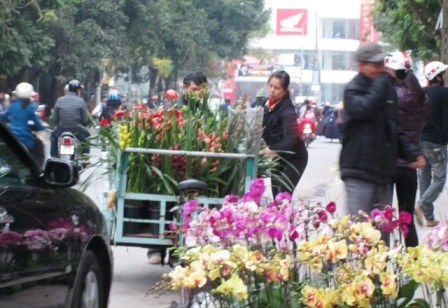 Các chủ kinh doanh hoa tất bật đưa hàng về.