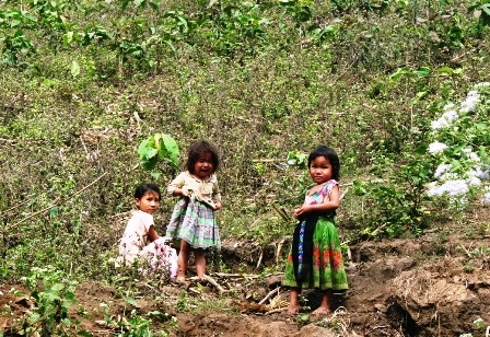 Nhiều học sinh ở các huyện miền núi có nguy cơ không được đến trường vì tình trạng thiếu giáo viên.