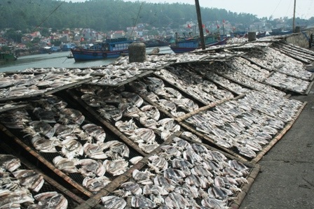 Phát hiện trong cá nục có chứa hóa chất diệt ruồi, muỗi, côn trùng - 1 Phát hiện trong cá nục có chứa hóa chất diệt ruồi, muỗi, côn trùng