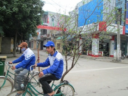 Rong ruổi khắp phố phường.