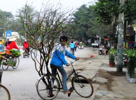 Rong ruổi khắp phố phường.