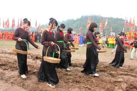 Theo sau đường vua cày là đội gieo hạt.