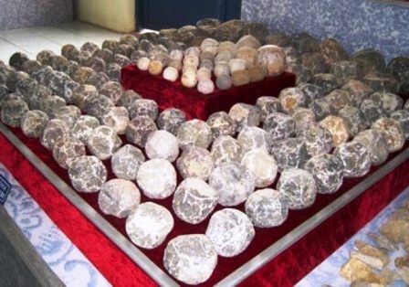 Đạn đá cổ được tìm thấy ở Thành nhà Hồ.