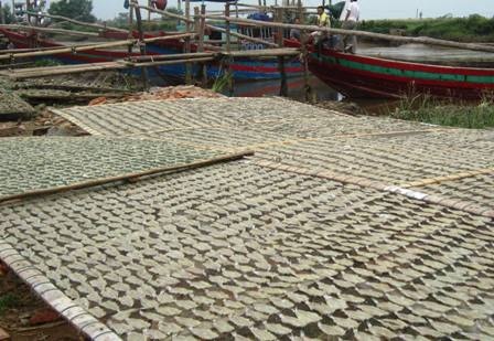 Đánh cá bằng thuốc nổ là một hình thức huỷ diệt nguồn lợi thuỷ hải sản.