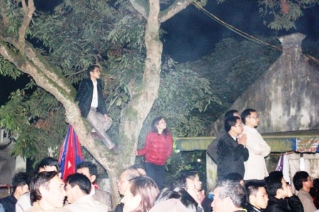 Trèo lên cây để xem các nghi lễ.