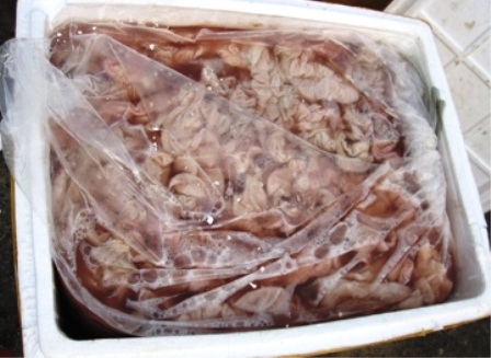 Xe tải chở cả tấn nội tạng thối đang phân hủy - 1 Cả tấn nội tạng thối đang trong quá trình phân hủy