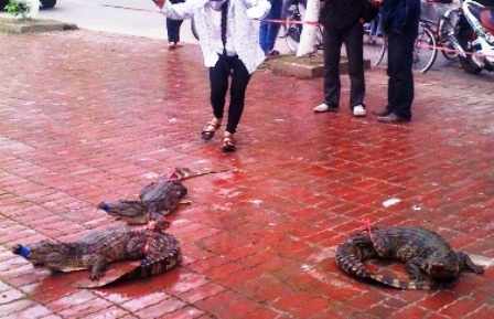 Người dân đi đường hiếu kỳ tập trung lại xem.