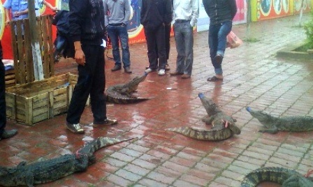 Người dân đi đường hiếu kỳ tập trung lại xem.