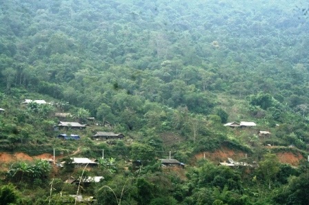 Từ ngủ thăm đến… ngủ thật