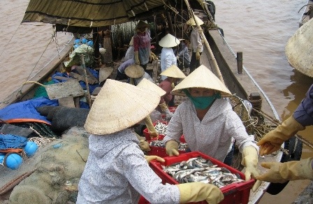 Cuộc sống khó khăn khiến ngư dân phải tìm hướng mưu sinh.