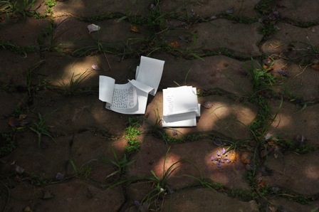 Phao thi được photo cỡ nhỏ bằng bàn tay.