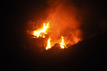 Đám cháy bốc thành những ngọn lửa cao vút kèm theo tiếng nổ nhỏ.