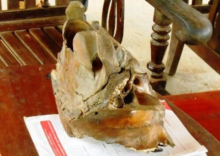 Trông qua bằng mắt thường thì thấy đây giống như một hộp sọ của động vật.