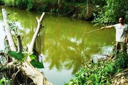 Ao cá nơi anh Khảnh phát hiện ra hộp sọ.