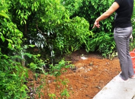 Hiện trường vụ án mạng