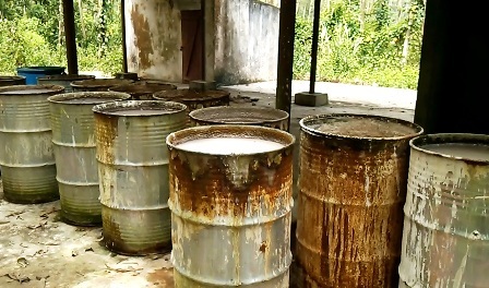 Kinh hoàng cảnh những thùng thuốc sâu được vùi dưới lòng đất - 1 Những thùng phuy nằm trong nhà xưởng công ty.