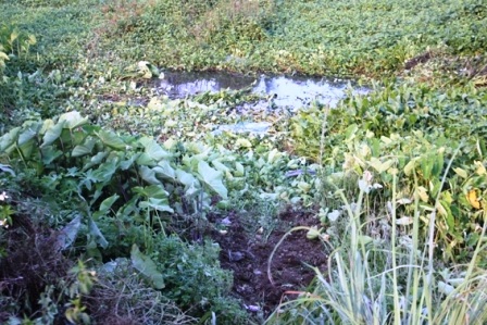 Hiện trường khu vực xảy ra tai nạn.