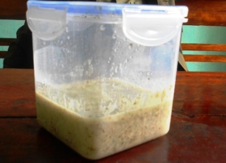 Bã chó đối tượng dùng để bắt trộm chó.