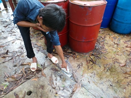 Phạt công ty chôn giấu thuốc trừ sâu hơn 400 triệu đồng