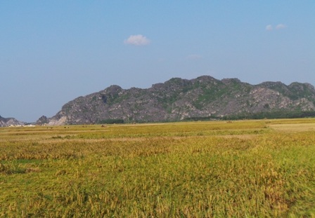 Người dân dường như quên cả việc thu hoạch mùa màng vì quá bức xúc.