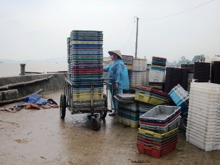 Người dân Hậu Lộc chuẩn bị các công việc chống bão.