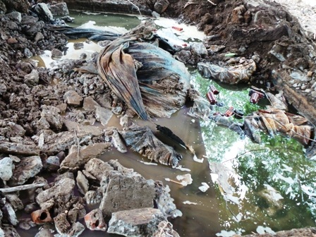 Cty Thanh Thái chưa thực hiện nghiêm một số nội dung ý kiến chỉ đạo của UBND tỉnh Thanh Hóa.