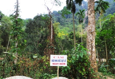 Chính quyền địa phương đã cắm biển cảnh báo người dân.