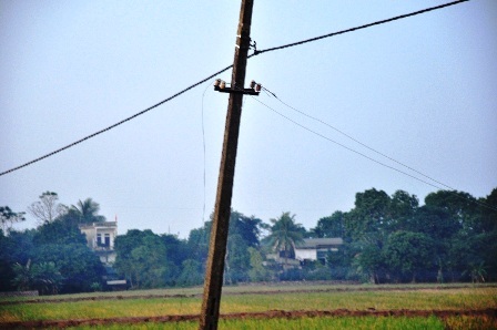 Đường dây điện bị đứt và khu vực ông Thắng tử vong.