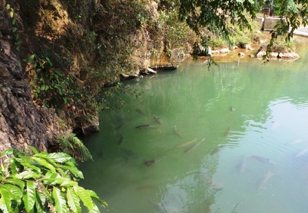 Hang cá Văn Nho còn rất hoang sơ.