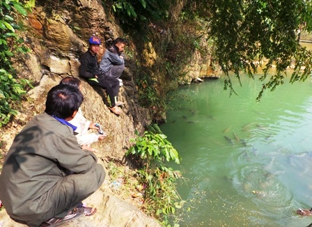 Cũng đã có nhiều du khách đến đây thưởng ngoạn và ngắm cá thần.