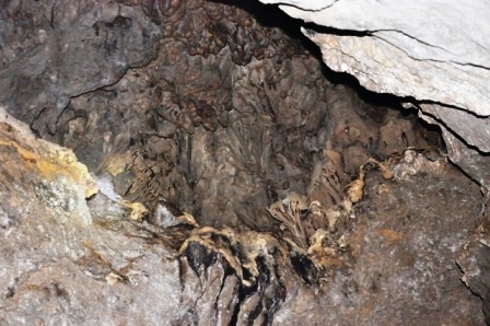 Một nhũ đá nằm trên nóc hang động với rất nhiều hình thú kỳ dị.