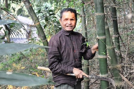 Lão mù lên rừng chặt củi.