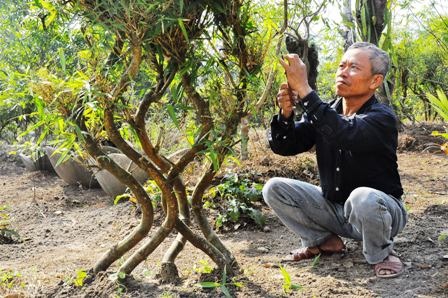  Ông Nguyễn Văn Nam, người thổi hồn cho tre Việt.