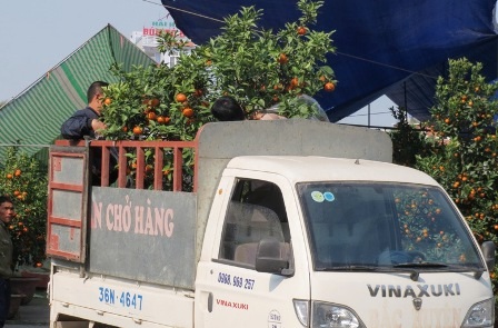 Không chỉ chở bằng xe máy, xe lôi mà có cả dịch vụ chở bằng ô tô.