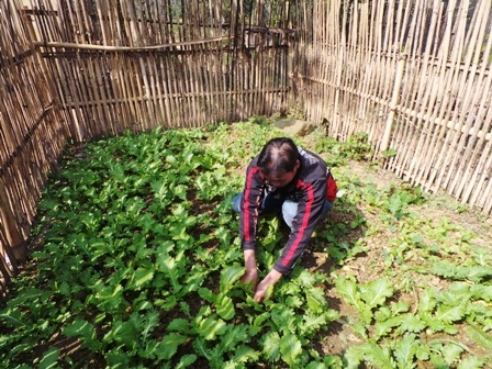 Cuộc sống chủ yếu là tự cung, tự cấp.