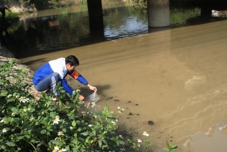 Giúp người dân thả cá ông Táo xuống sông.