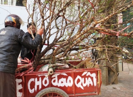 Công việc tuy vất vả nhưng kiếm ra tiền trong những ngày này.