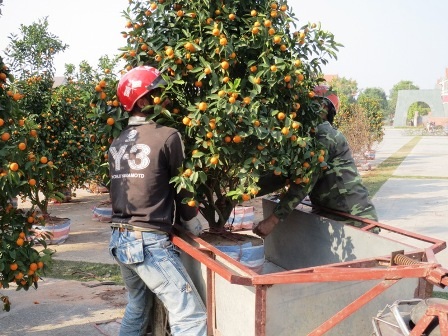 Công việc tuy vất vả nhưng kiếm ra tiền trong những ngày này.