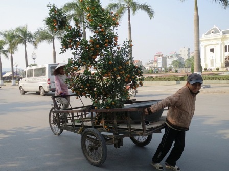 Có cả những người phụ nữ tham gia làm nghề chở thuê.