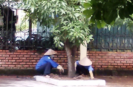 Thanh Hoá: Thưởng Tết cao nhất 200 triệu đồng - 2 Nhiều nghề lao động vất vả nhưng không có thưởng hoặc mức thưởng rất thấp
