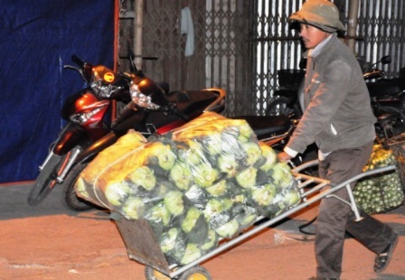 Những người đàn ông lặng lẽ với những chuyến xe kéo.