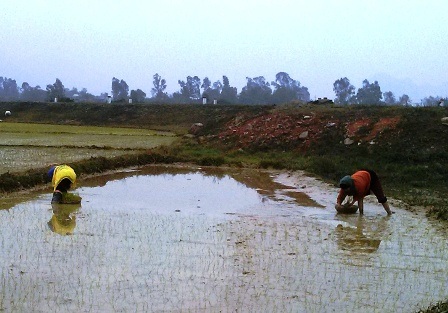Người dân vùng lũ đón Tết trong âu lo - 3 Năm nay người dân đi chợ sắm tết trong lo âu.