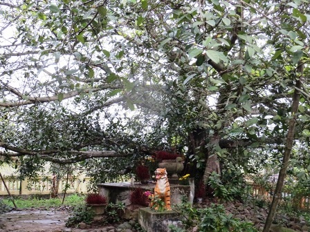  Điểm di tích “thiên tạo” hình mẹ bồng con hướng về dân làng.