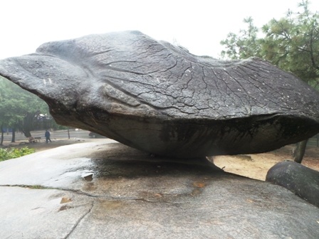 Điểm tiếp xúc giữa hòn Mái với phiến đá dưới chân rất bé.