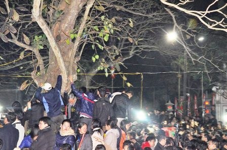 Nhiều người trèo cả lên cây để xem lễ hội Khai ấn Đền Trần.