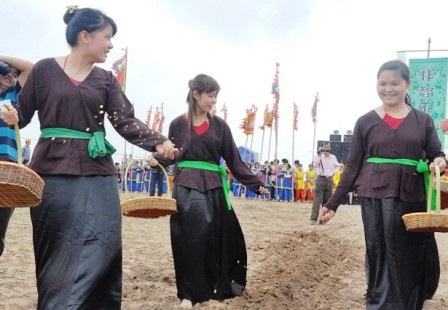 Theo sau đường cày của vua là đội gieo hạt giống.