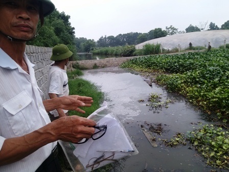 Hàng trăm người dựng lều bao vây trang trại lợn - 2 Những hệ thống ao, hồ trong trang trại đã bị ô nhiễm nghiêm trọng.