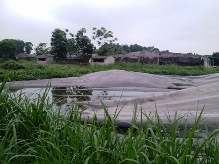 Hàng trăm người dựng lều bao vây trang trại lợn - 5 Hệ thống biogas được xây dựng sơ sài, nước thải chảy tràn khắp nơi.